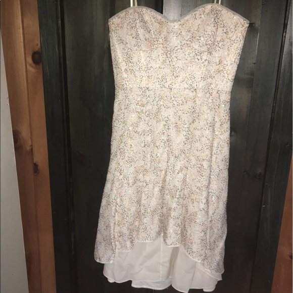 Stunning Strapless BCBG Maxazria Tan Sequined Prom/Homecoming Dress - NEW - Picture 3 of 6